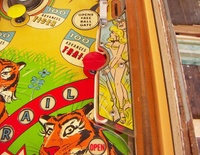 Image # 69115: Safari Playfield - Detail 
(Serial number 1354.)