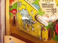 Image # 69116: Safari Playfield - Detail 
(The factory passive bumper between the flippers has been replaced by a pop bumper. Serial number 1354.)