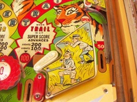 Image # 69118: Safari Playfield - Detail 
(The factory passive bumper between the flippers has been replaced by a pop bumper. Serial number 1354.)