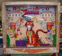 Image # 15658: Safari Backglass