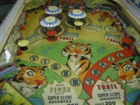 Image # 15659: Safari Upper Playfield