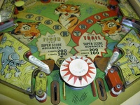 Image # 15660: Safari Lower Playfield 
(The passive bumper between the flippers in this picture has the wrong bumper cap.)