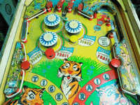 Image # 77359: Safari Early Production Middle Playfield 
(Serial number 1029.)