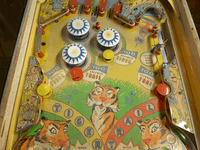 Image # 74618: Safari Early Production Middle Playfield 
(Serial number 1098.)