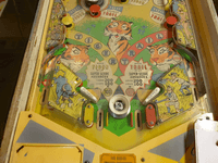 Image # 74619: Safari Early Production Lower Playfield 
(Serial number 1098.)