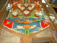 Image # 55299: Sea Jockeys Lower Playfield