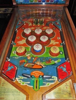 Image # 64967: Sea Jockeys Playfield