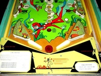 Image # 30652: Sea Ray Lower Playfield