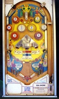 Image # 7496: Sea Shore Playfield