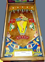 Image # 13778: Select-A-Card Playfield