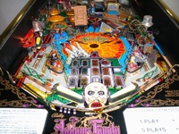 Image # 20804: The Addams Family Special Collectors Edition Lower Playfield