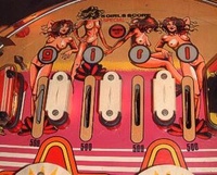Image # 4845: Sexy Girl Playfield - Detail