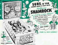 Image # 4319: Shamrock Flyer