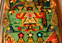 Image # 79517: Shangri-La Illuminated Lower Playfield