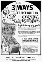 Image # 3868: Sheba Flyer