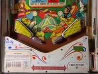 Image # 71194: Sheba Lower Playfield 
(Serial number SH-1621.)
