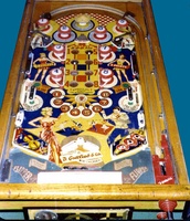 Image # 2009: Shindig Playfield