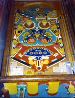 Image # 2019: Shoo Shoo Playfield