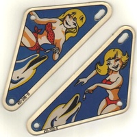 Image # 38443: Showtime Playfield Plastics
