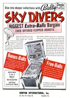 Image # 3882: Sky Divers Flyer