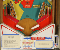 Image # 77127: Sky Jump Lower Playfield
