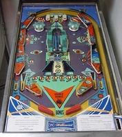 Image # 28969: Skylab Playfield