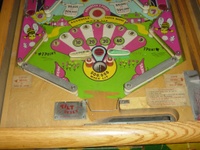 Image # 16701: Snooks Lower Playfield