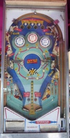 Image # 44545: Snow Derby Playfield