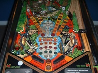 Image # 22217: Special Force Lower Playfield