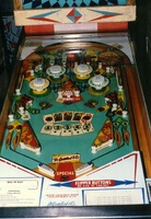 Image # 2176: Spin-A-Card Playfield