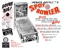 Image # 4740: Spot Bowler Flyer