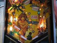 Image # 27421: Spring Break Illuminated Lower Playfield