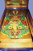 Image # 6905: Springtime Lower Playfield