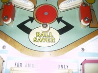 Image # 18671: Stage Coach Ball Saver