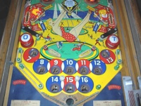 Image # 25844: Starlite Lower Playfield