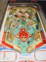 Image # 18202: Stingray Playfield