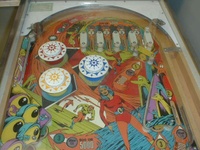 Image # 13739: Strange World Upper Playfield