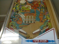 Image # 13740: Strange World Lower Playfield