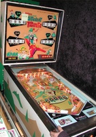 Image # 14352: Student Prince Illuminated Playfield