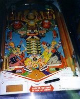 Image # 230: Big Daddy Playfield