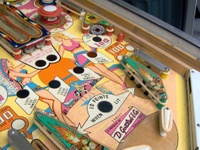 Image # 27675: Sunset Lower Playfield