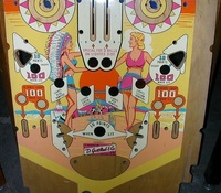 Image # 30016: Sunset Lower Blank Playfield