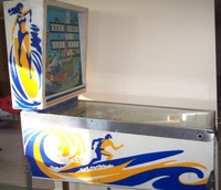Image # 14665: Surf Champ Cabinet