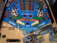 Image # 39567: Surf 'n Safari Stripped Lower Playfield