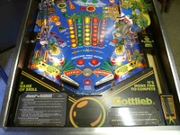 Image # 14151: Surf 'n Safari Lower Playfield