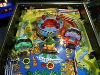 Image # 14152: Surf 'n Safari Upper Playfield