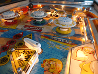 Image # 77500: Surf Side Sample Game - Illuminated Upper Playfield 
(Serial number 01040 S.)