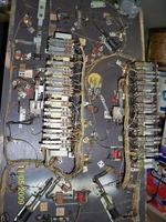 Image # 42671: Swanee Under Playfield