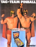 Image # 5141: Tag-Team Pinball Flyer, Front