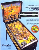 Image # 5142: Tag-Team Pinball Flyer, Back